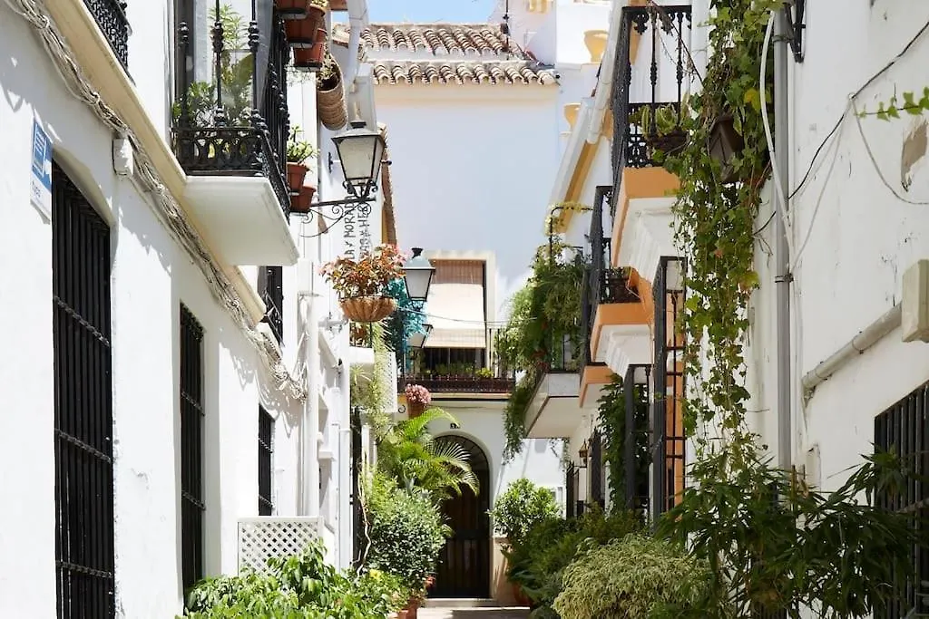 Marbella Old Town With Rooftop Terrace Rdr410